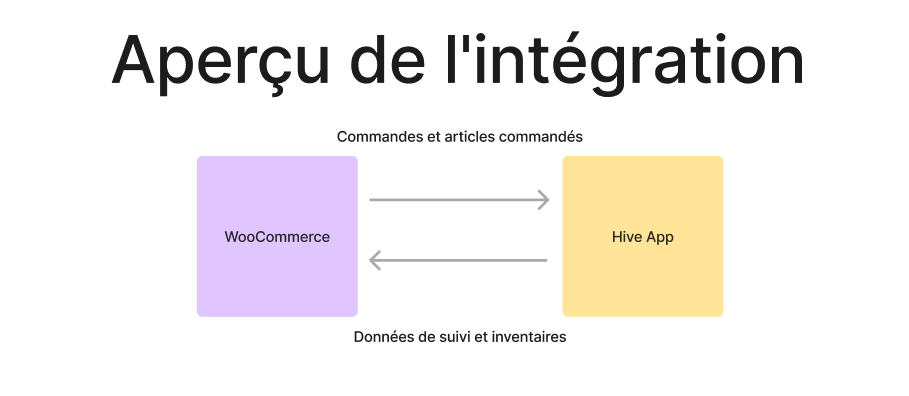 Screenshot 2024-09-10 at 14.49.48.png